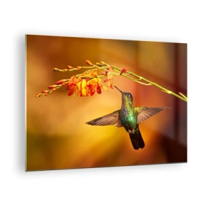 Schilderen op glas - Kolibrie bij bloemen in een gouden gloed - 70x50cm - Een boodschapper van licht volgens de Maya - Moderne wanddecoratie voor woonkamer en slaapkamer ARTTOR