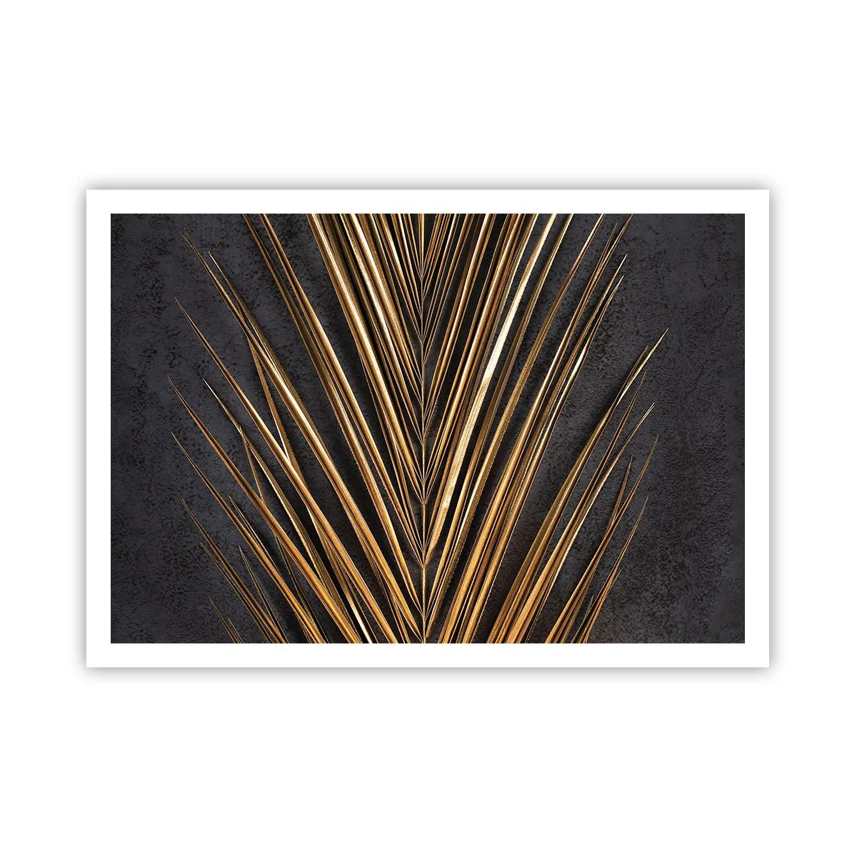 Poster - Het goud van de tropen - 100x70 cm