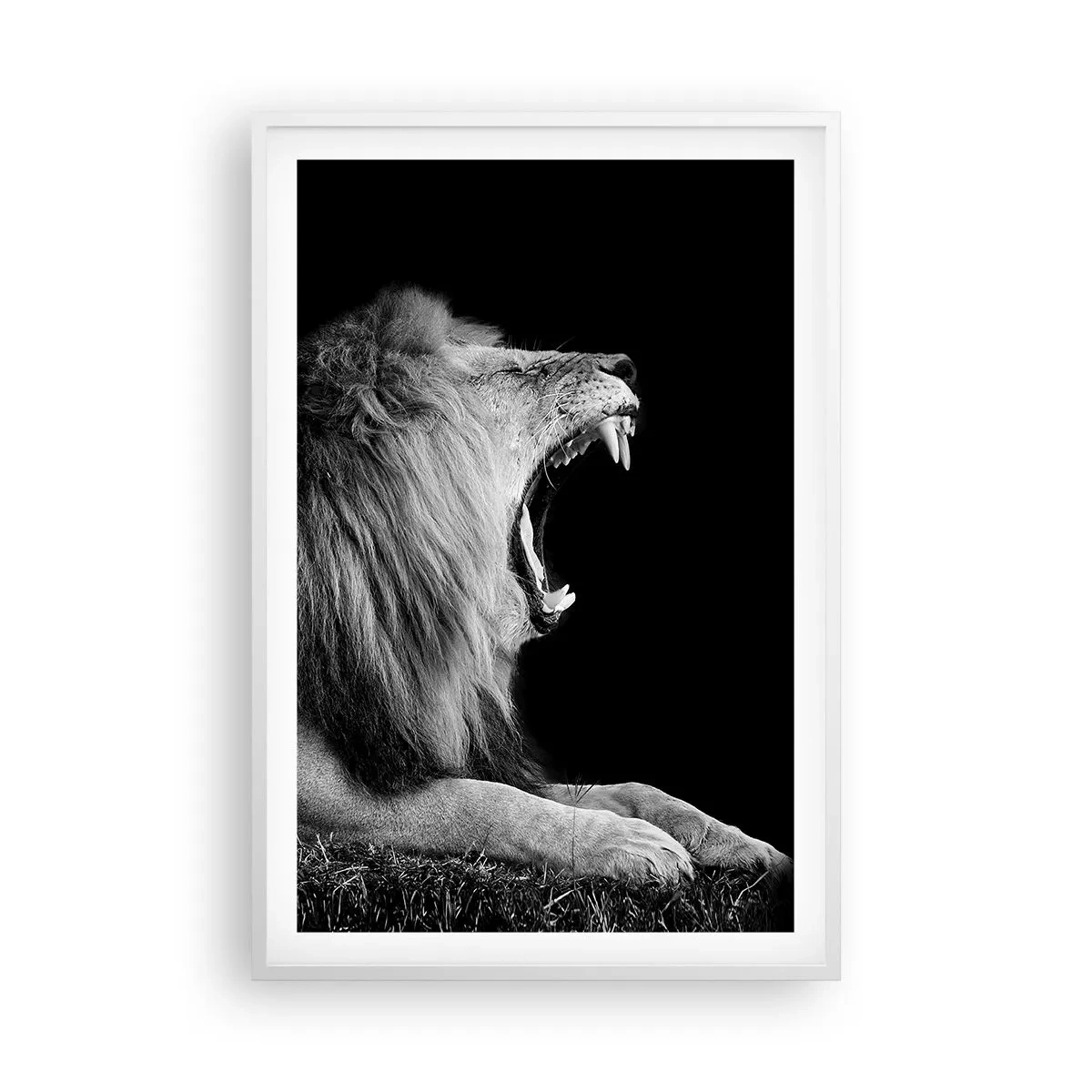 Poster in een witte lijst - Zonder enige twijfel - 61x91 cm
