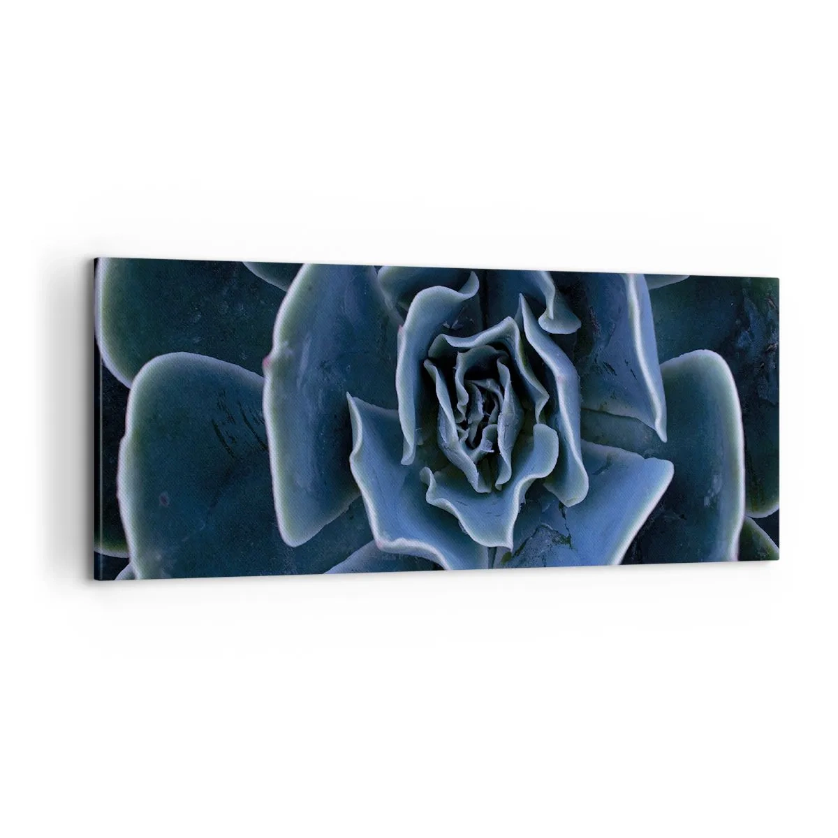 Schilderen op canvas - Woestijn bloem - 100x40 cm