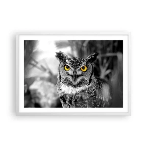 Poster in een witte lijst - Niets zal zich verbergen - 70x50 cm