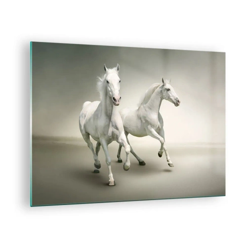 Schilderen op glas - Twee witte paarden rennen tegen een lichte achtergrond - 70x50cm - White power! - Moderne wanddecoratie voor woonkamer en slaapkamer ARTTOR