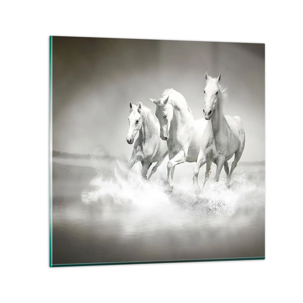 Schilderen op glas - Witte waanzin - 70x70 cm