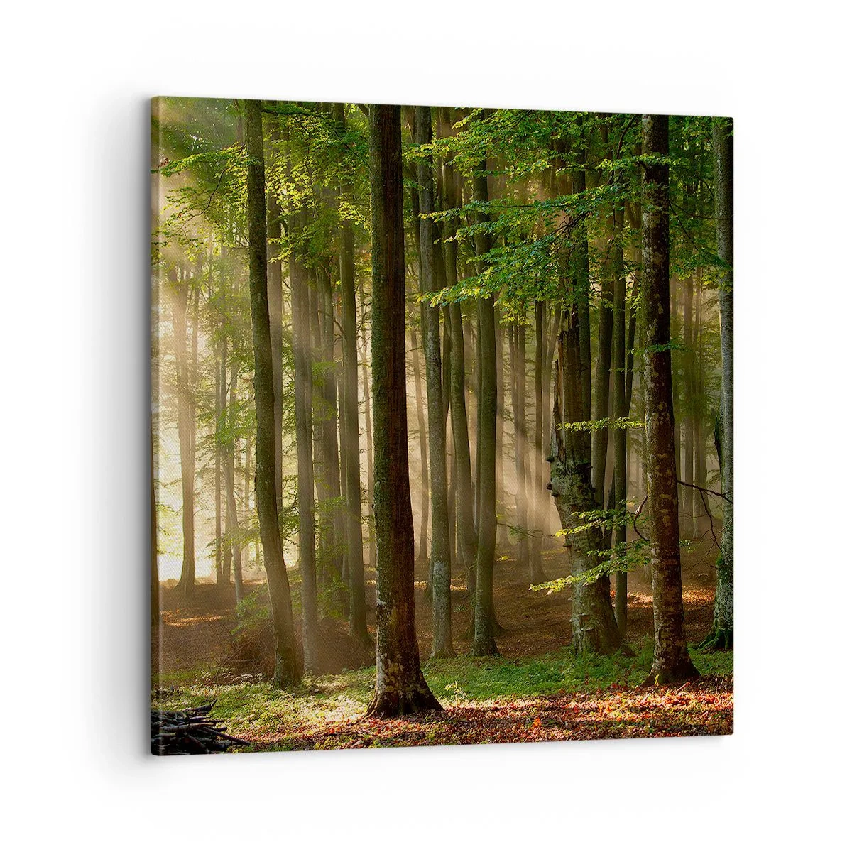 Schilderen op canvas - Stralend op een lentemorgen - 60x60 cm