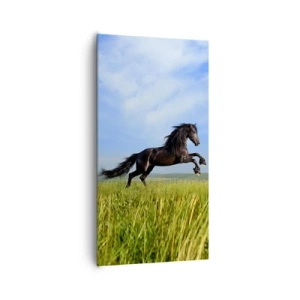 Schilderen op canvas - Een spannend manifest van vrijheid - 65x120 cm