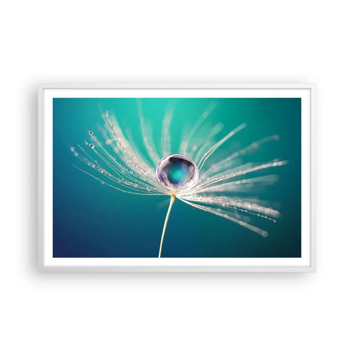 Poster in een witte lijst - Mystiek moment - 91x61 cm