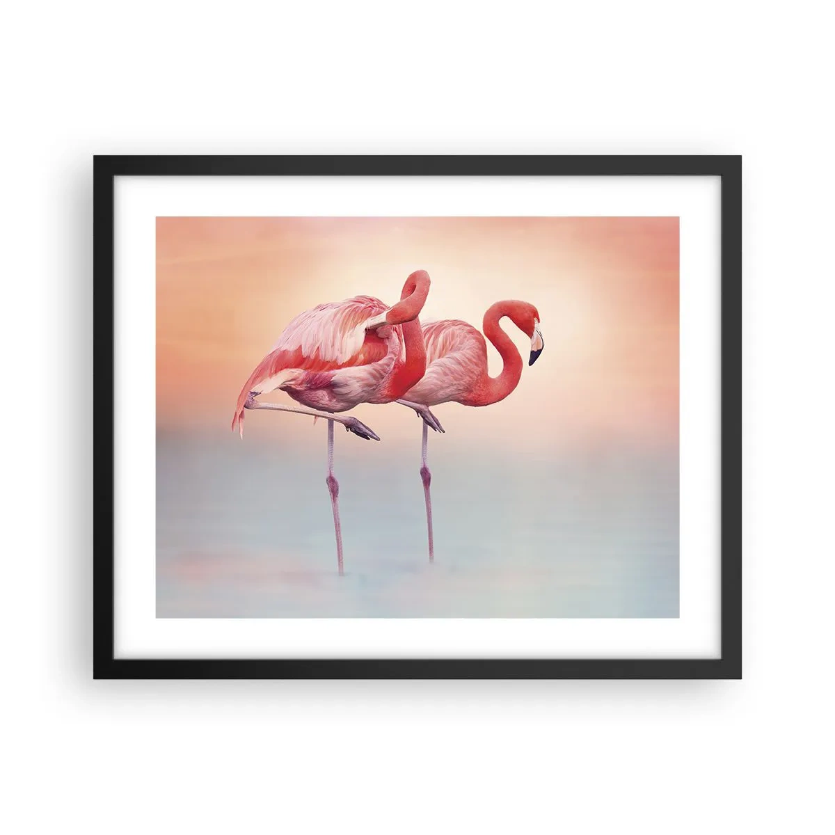 Poster in een zwarte lijst - De kleur van de ondergaande zon - 50x40 cm