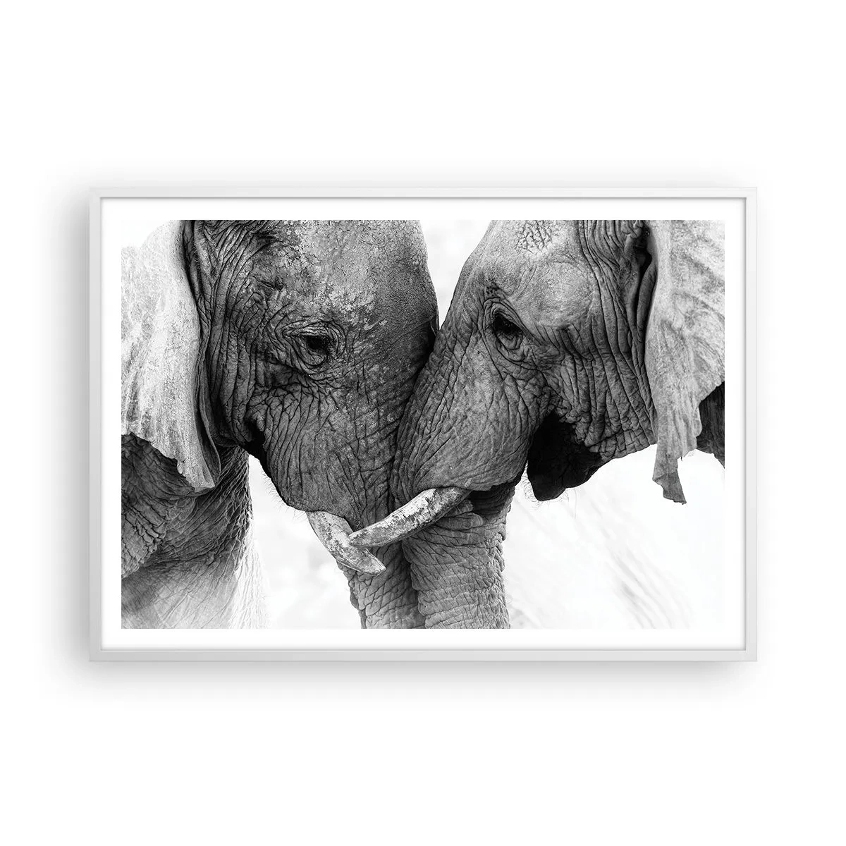 Poster in een witte lijst - Oprechte bekentenis - 100x70 cm