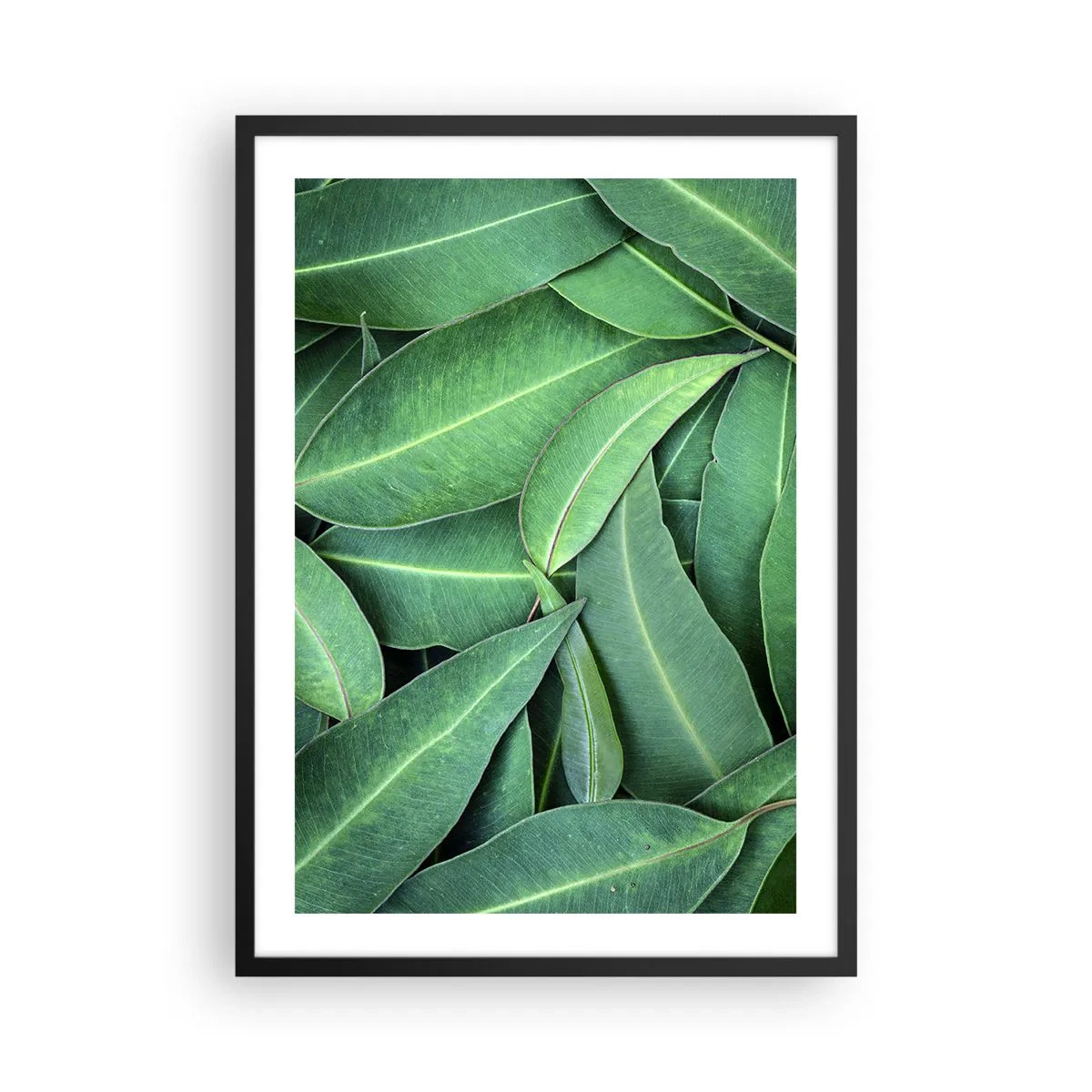 Poster in een zwarte lijst - Groene bladeren gerangschikt in een dichte compositie - 50x70cm - Sappig en fris - Moderne wanddecoratie voor woonkamer en slaapkamer ARTTOR