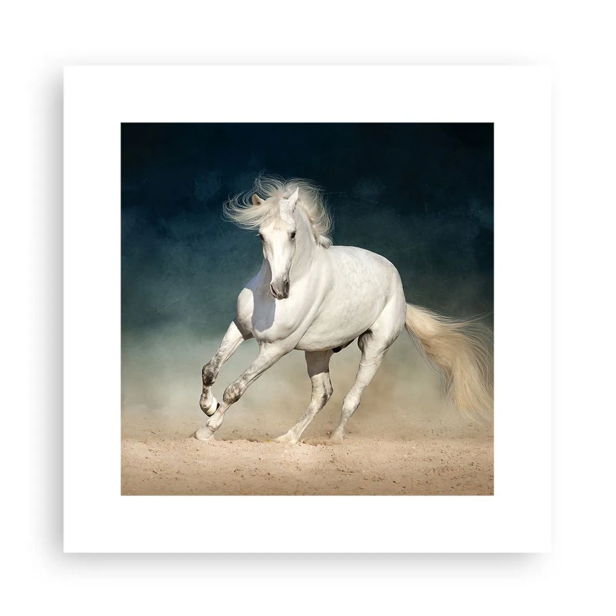 Poster - Vrijheid in zijn pure staat - 30x30 cm