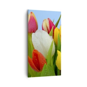 Schilderen op canvas - Een bloemenregenboog in dauwdruppels - 55x100 cm