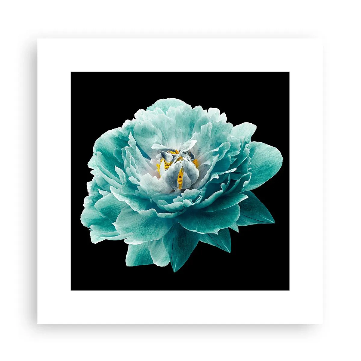 Poster - Blauwe en gouden bloemblaadjes - 30x30 cm