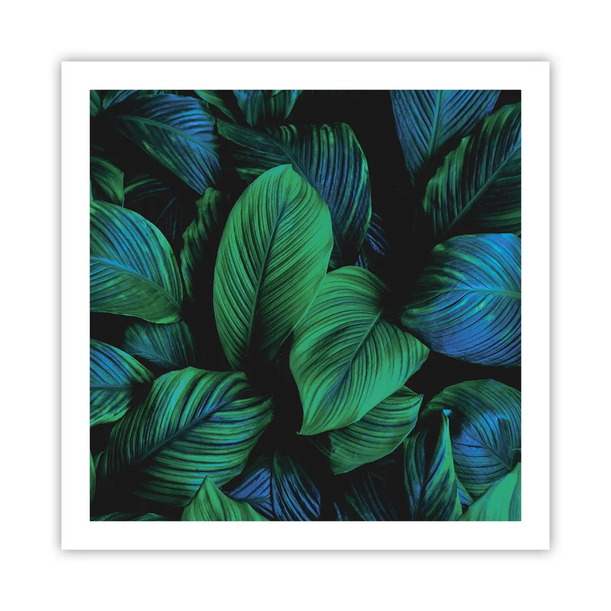 Poster - In de groene menigte - 60x60 cm