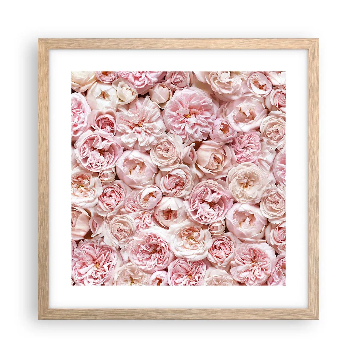 Een poster in een licht eiken lijst - Een bed van rozen - 40x40 cm