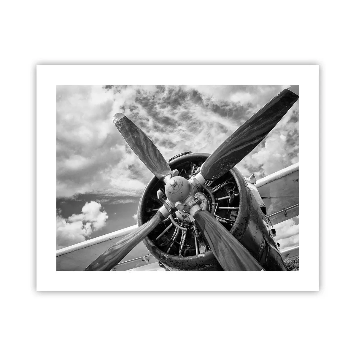 Poster - Veroveraar van de lucht - 50x40 cm