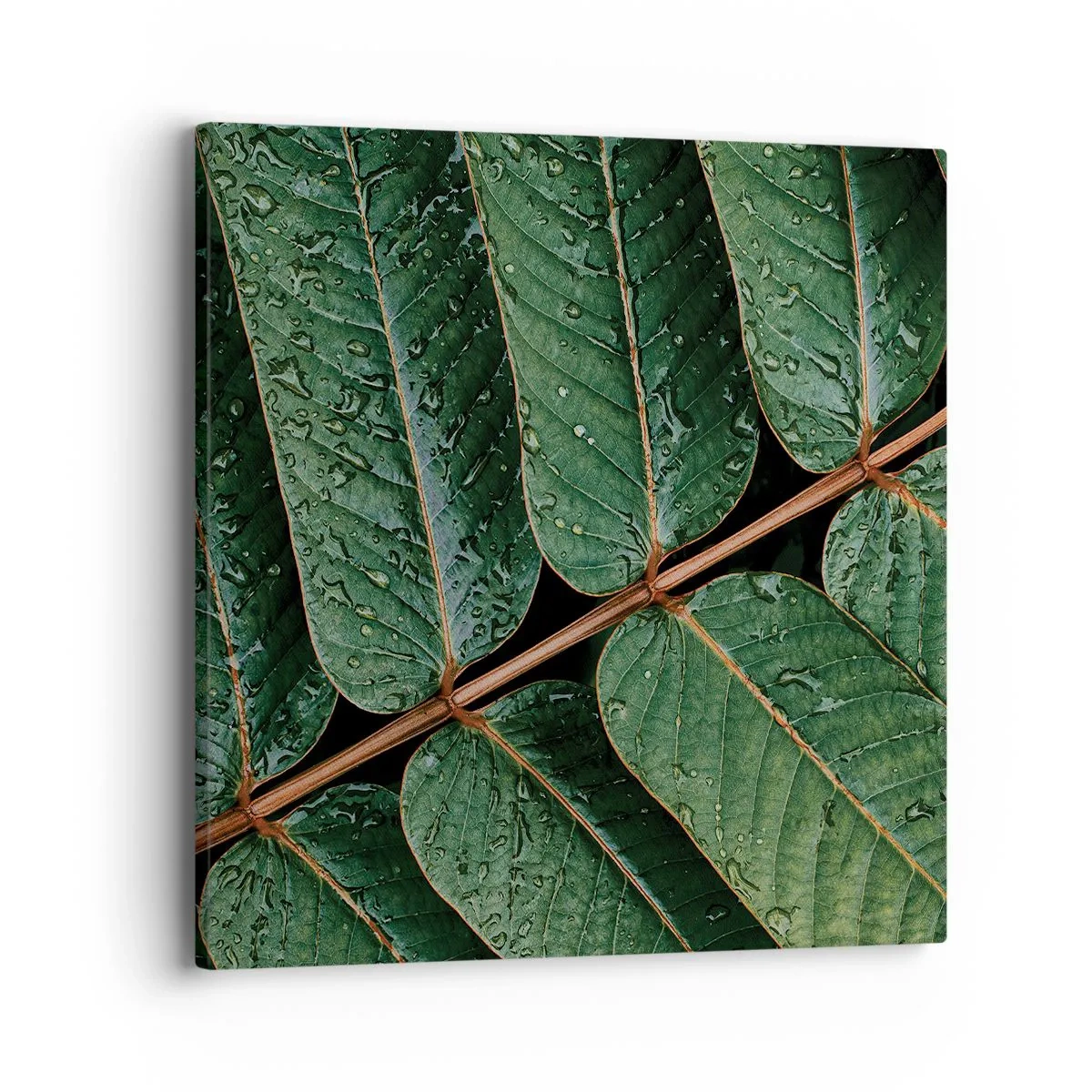 Schilderen op canvas - In een groen ritme - 40x40 cm