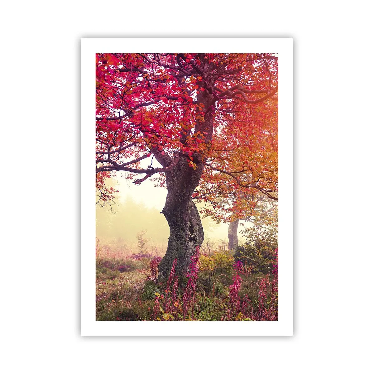 Poster - Bloeiende razernij - 50x70 cm
