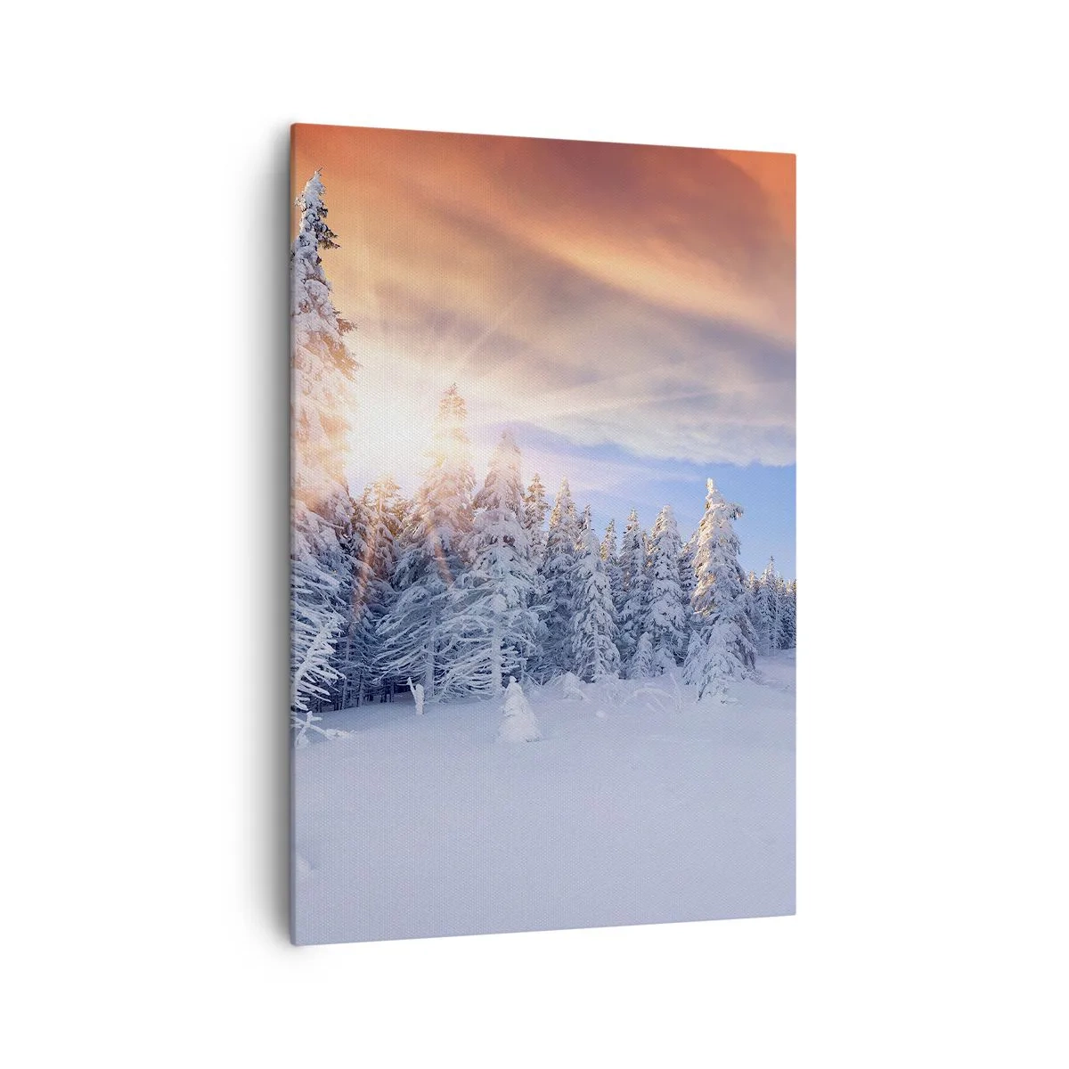 Schilderen op canvas - Het sneeuwspektakel van de natuur - 70x100 cm