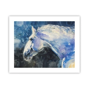 Poster - Portret in een blauwe gloed - 50x40 cm