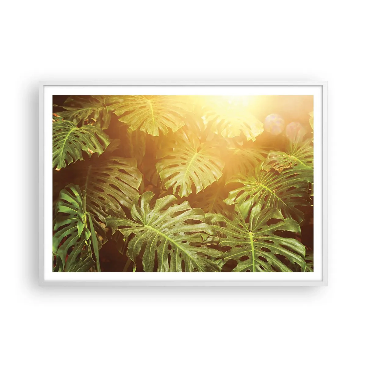 Poster in een witte lijst - In het groen treden... - 100x70 cm