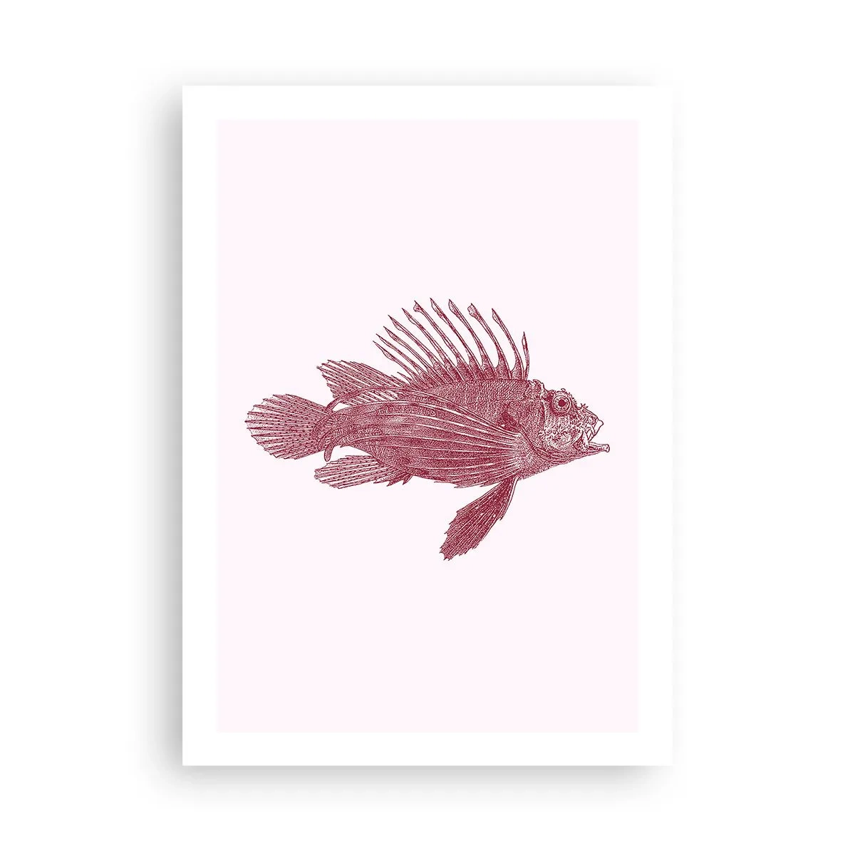Poster - Inwoner van exotische wateren - 50x70 cm