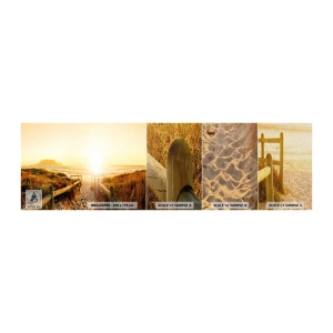 Fotobehang Monster Premium Canvas - Over het duin, richting de zon - Landschap, Strand, Zonsondergang - 100x30 cm