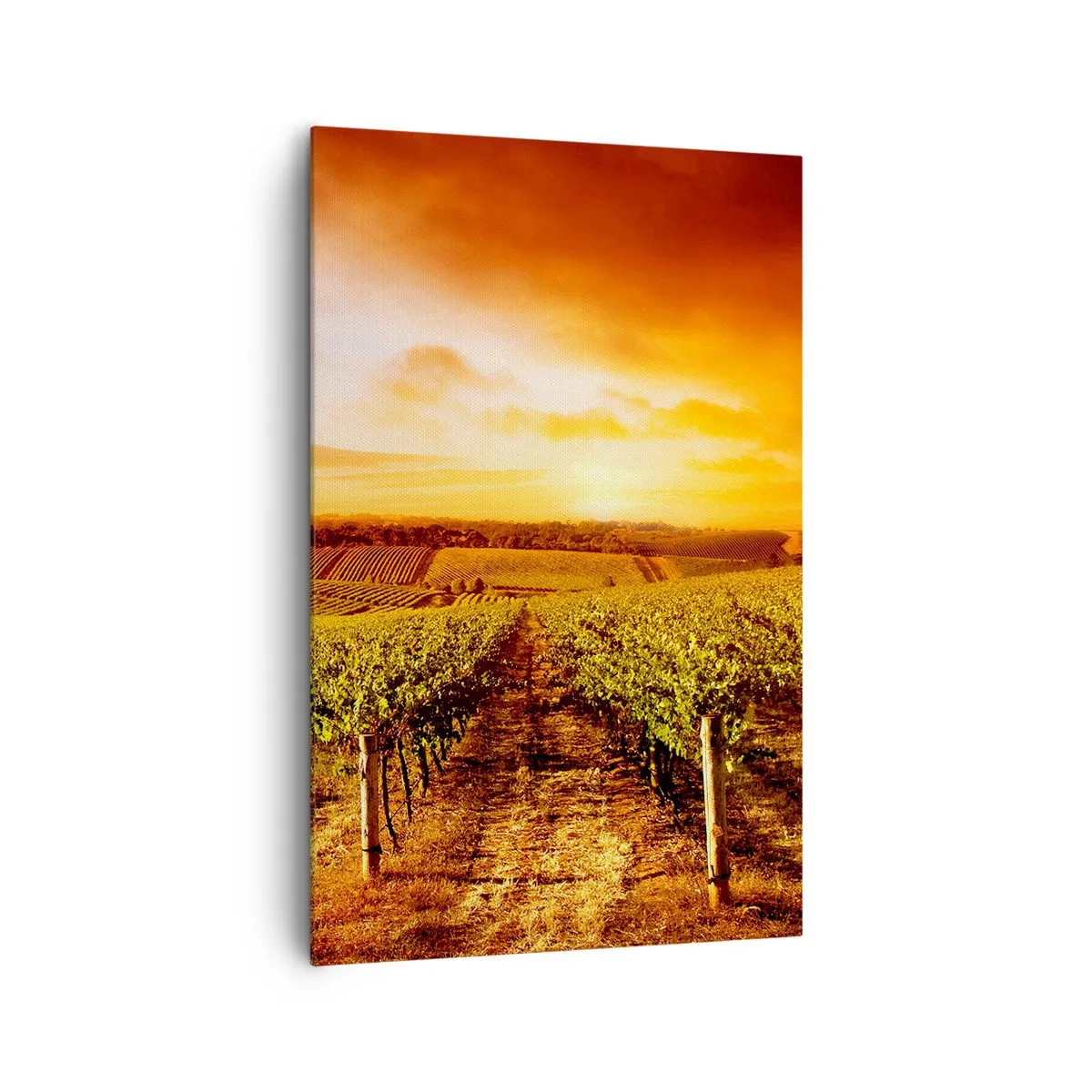 Schilderen op canvas - Licht fruitig met een vleugje zonneschijn - 80x120 cm