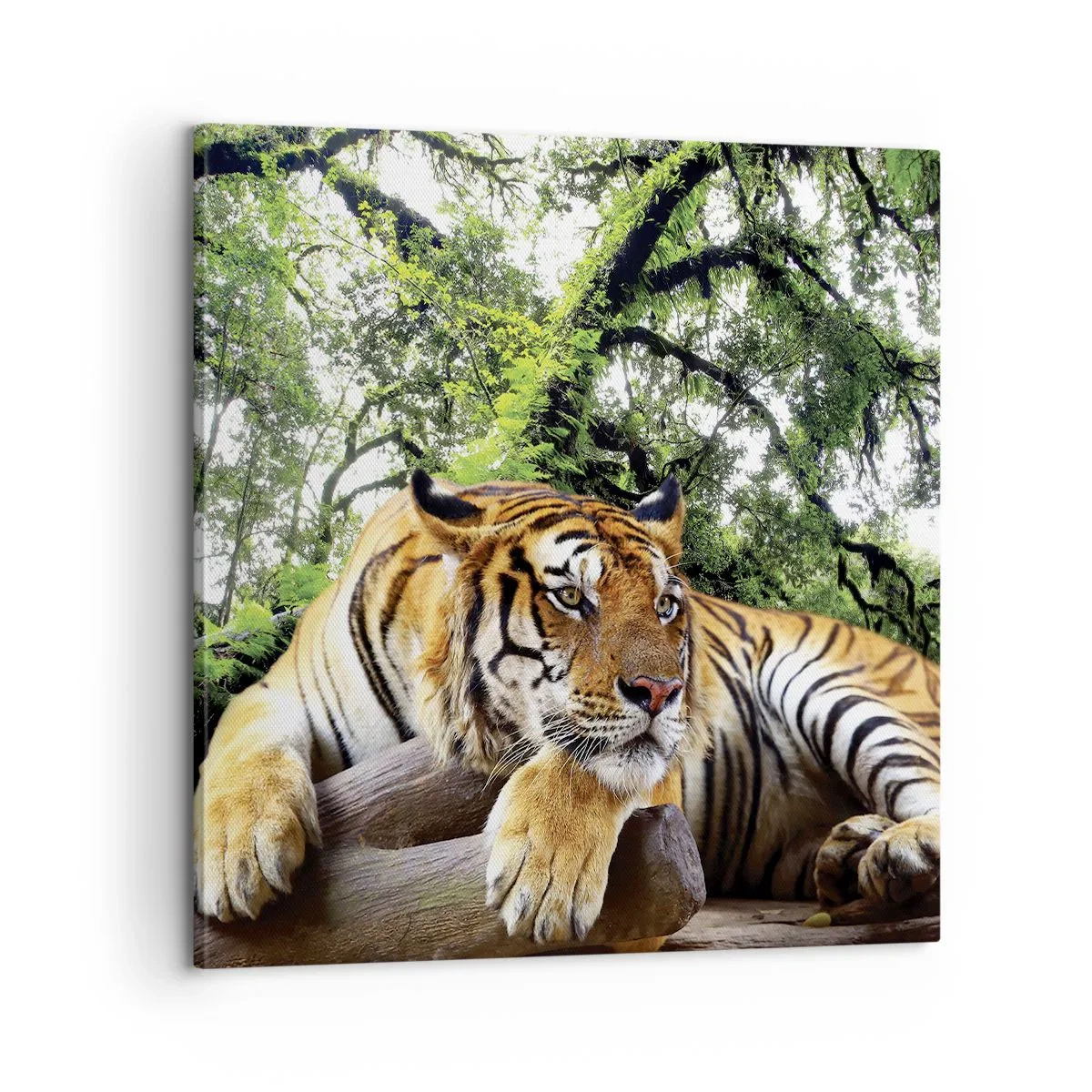 Schilderen op canvas - Met vriendelijke groet - 60x60 cm