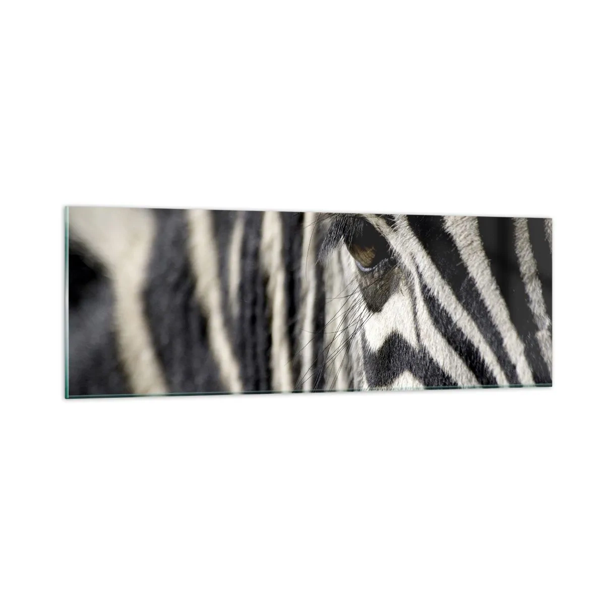 Schilderen op glas - Gestreept portret - 90x30 cm
