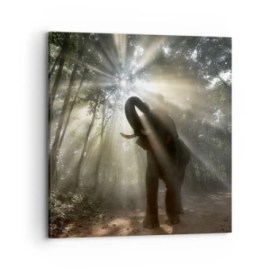 Schilderen op canvas - Onder de gelukkige ster - 70x70 cm