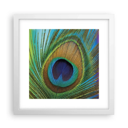 Poster in een witte lijst - Oog in oog - 30x30 cm