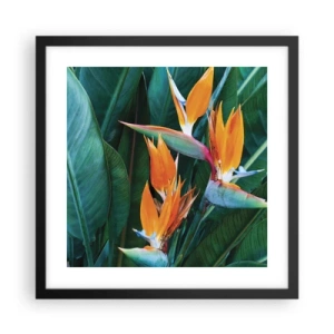 Poster in een zwarte lijst - Is het een bloem of is het een vogel? - 40x40 cm