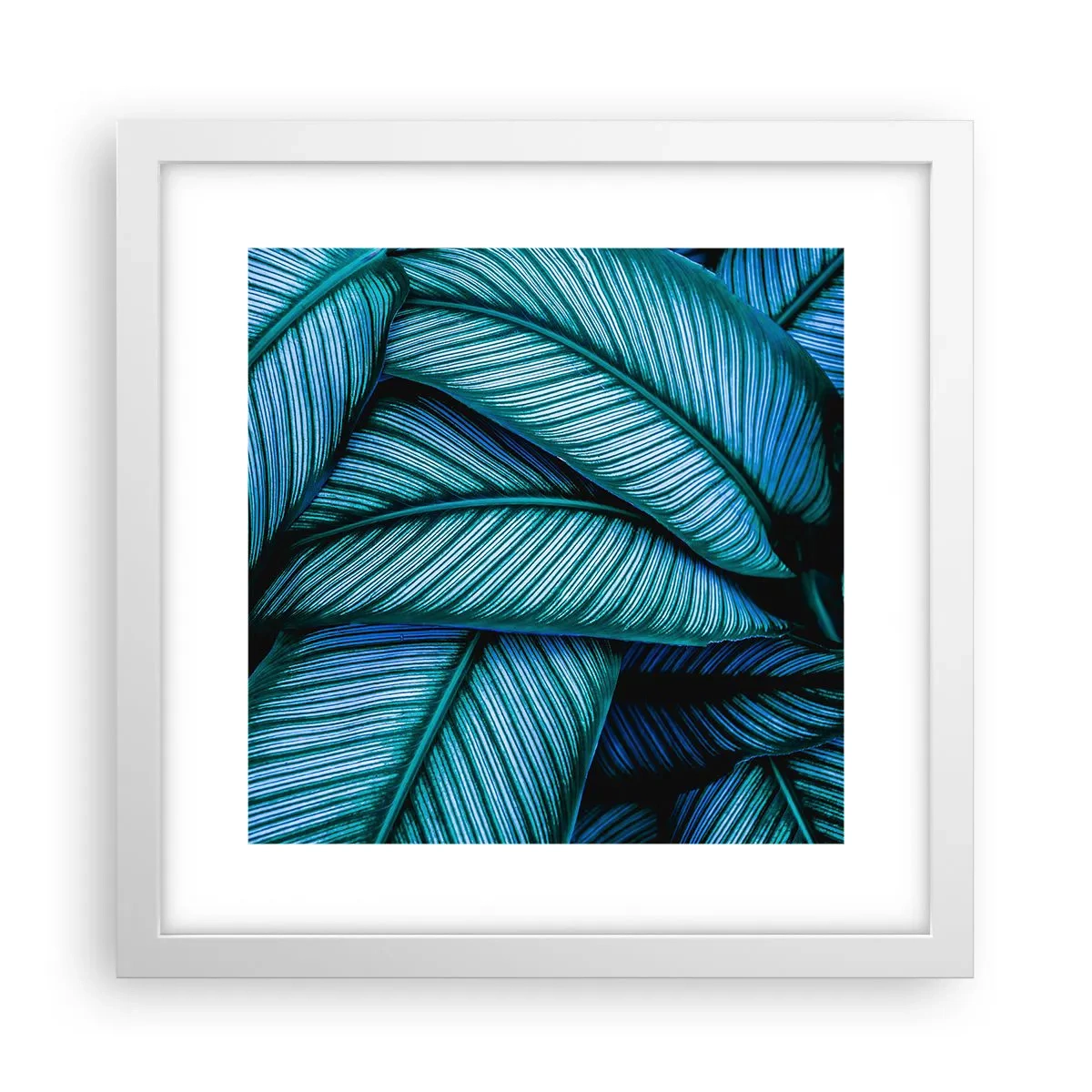 Poster in een witte lijst - Levens lijnen - 30x30 cm