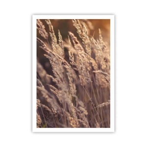 Poster - Klaar om de herfst te verwelkomen - 70x100 cm