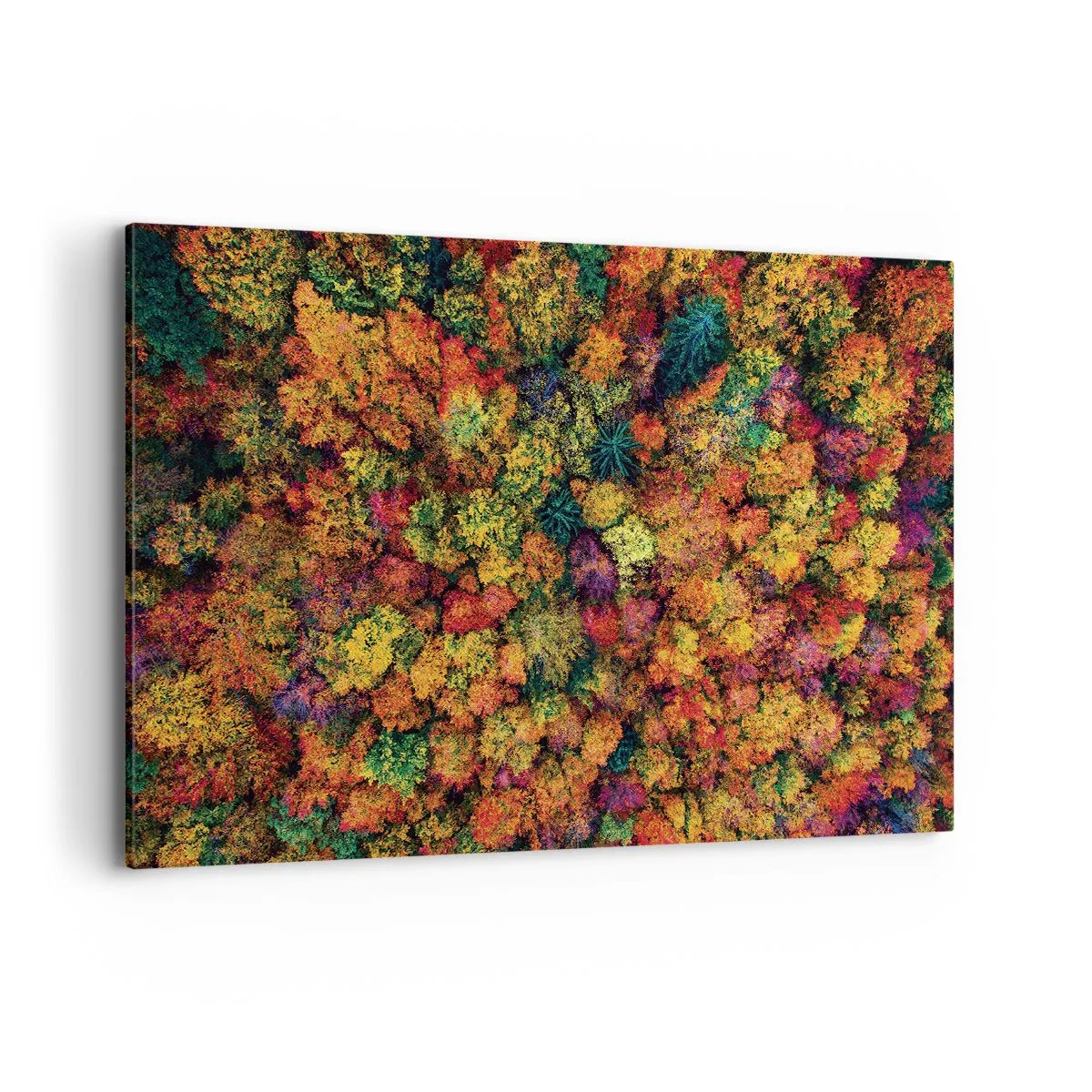 Schilderen op canvas - Boeket herfstbomen - 120x80 cm