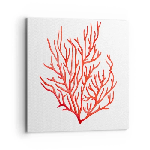 Schilderen op canvas - Koraal filigraan - 70x70 cm