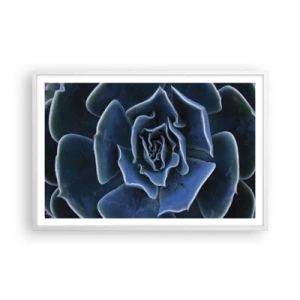Poster in een witte lijst - Woestijn bloem - 91x61 cm