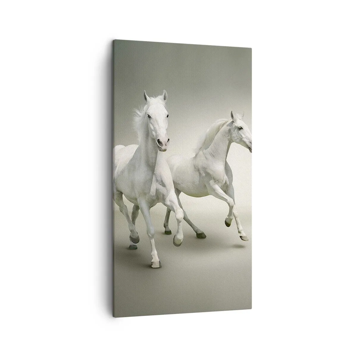 Schilderen op canvas - White power! - 45x80 cm