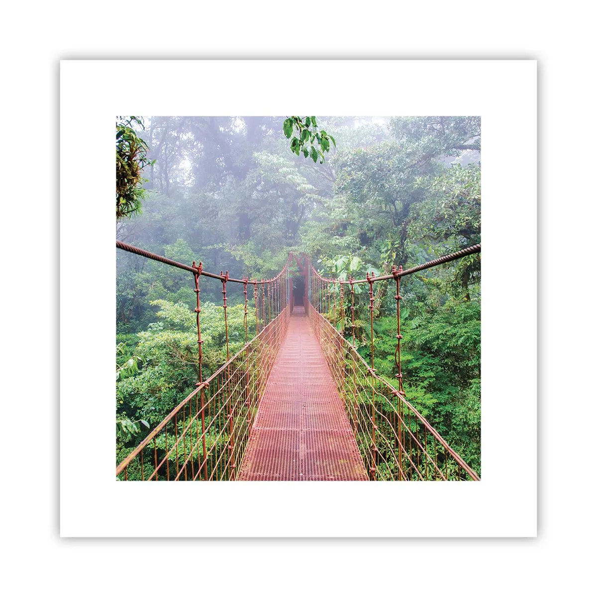 Poster - Opgehangen over de kronen - 30x30 cm