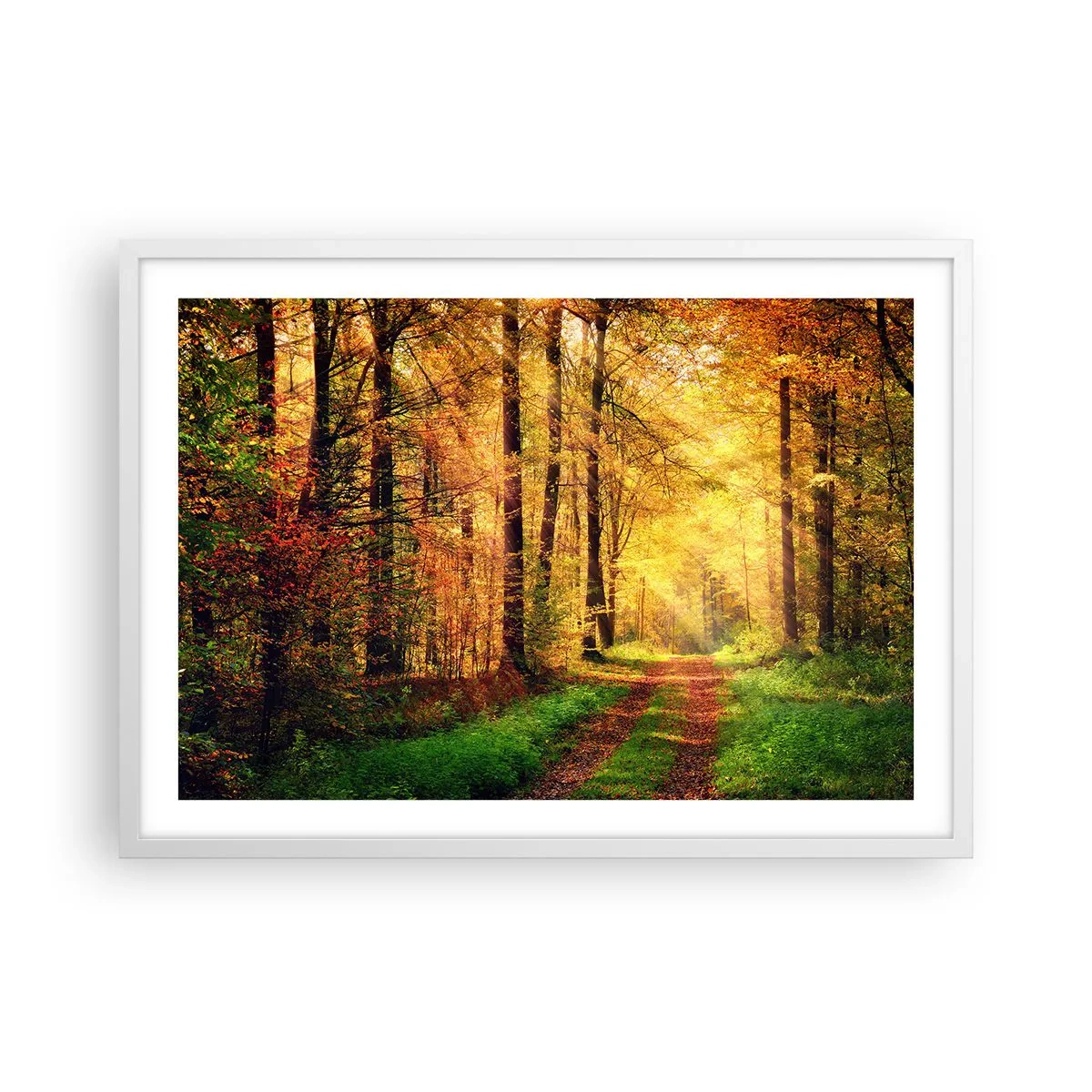 Poster in een witte lijst - Bos-gouden stilte - 70x50 cm