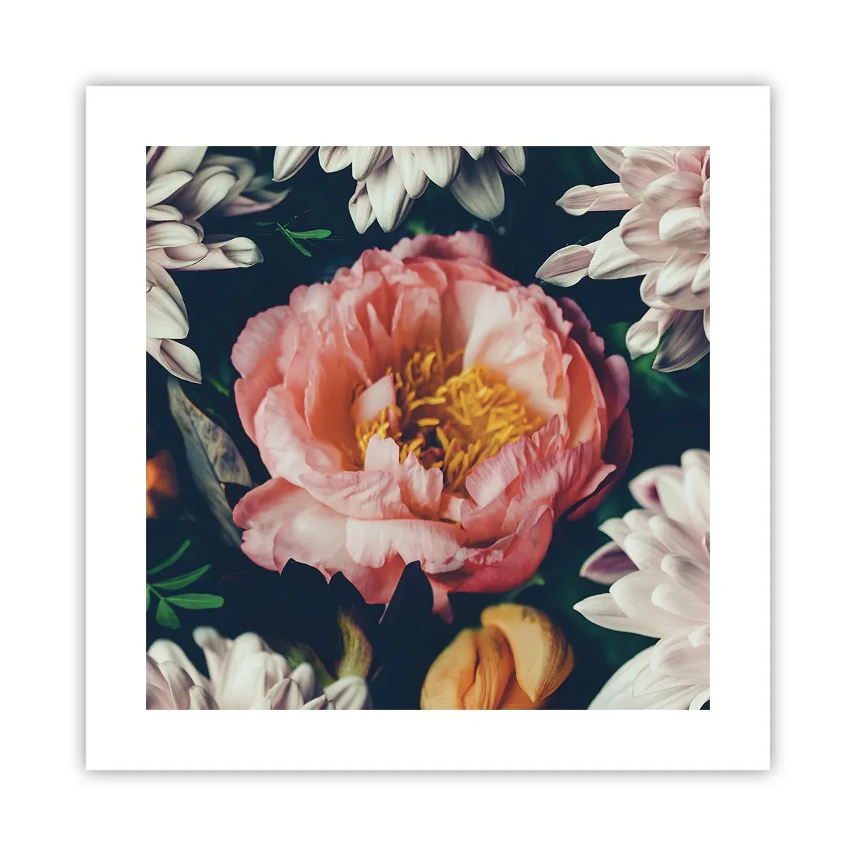 Poster - Met barokke pracht - 40x40 cm
