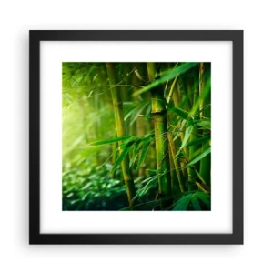 Poster in een zwarte lijst - Maak kennis met groen zelf - 30x30 cm