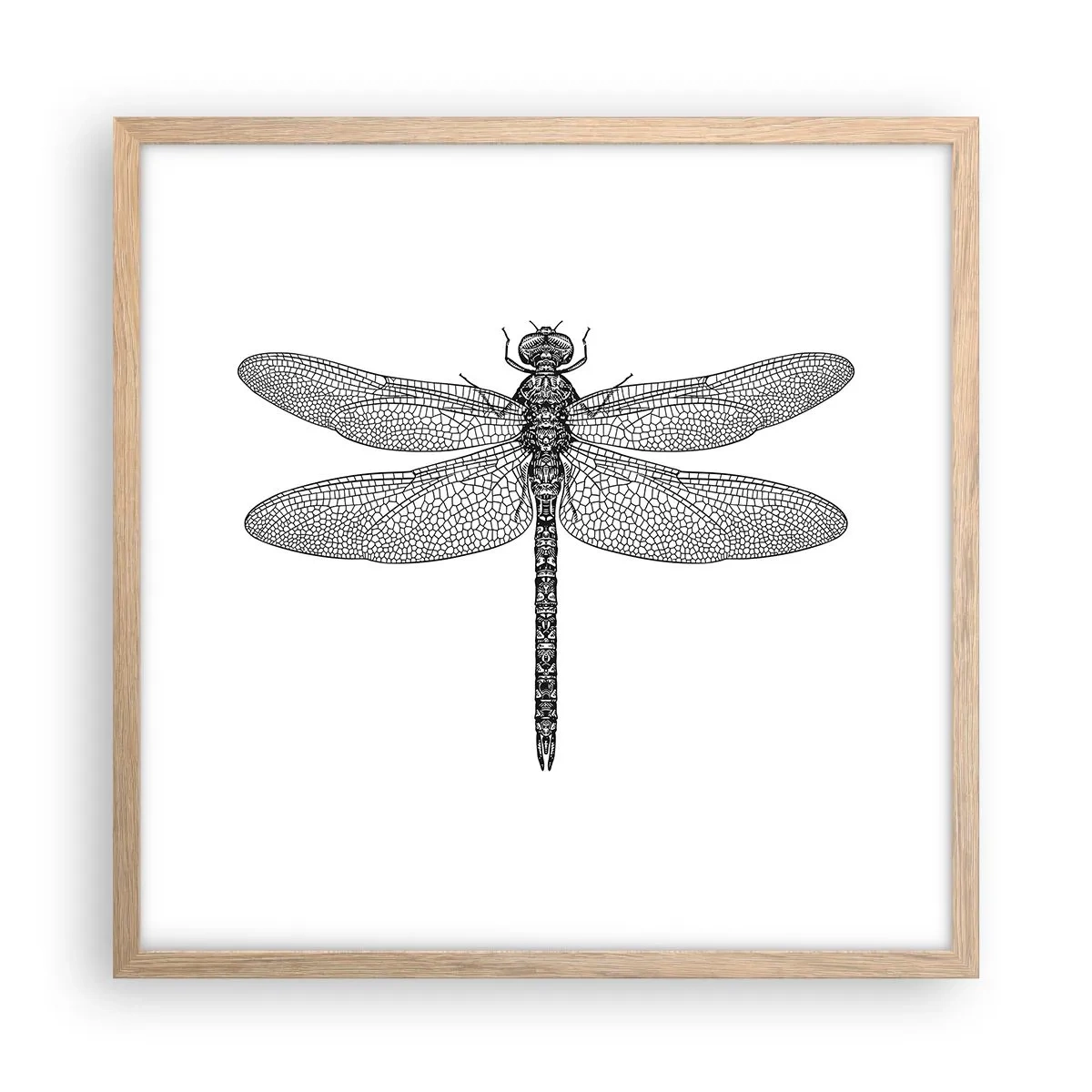 Een poster in een licht eiken lijst - Precisie van de natuur - 50x50 cm