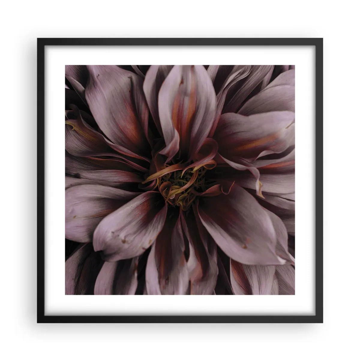 Poster in een zwarte lijst - Een bloemenhart - 50x50 cm