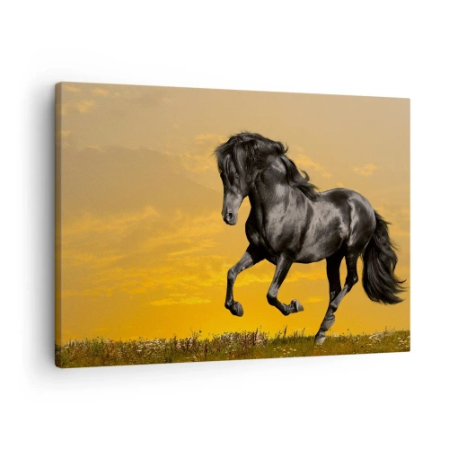 Schilderen op canvas - Een zwart paard galoppeert tegen de achtergrond van een gouden zonsondergang. - 70x50cm - Mooi, vrij en wild - Moderne wanddecoratie voor woonkamer en slaapkamer ARTTOR