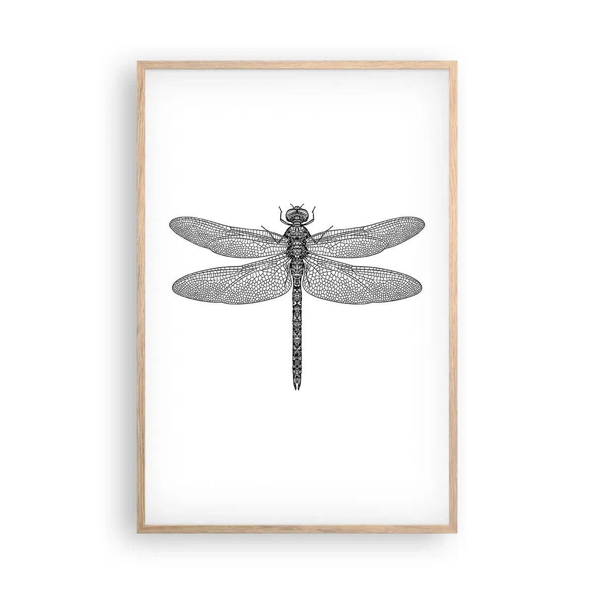 Een poster in een licht eiken lijst - Precisie van de natuur - 61x91 cm