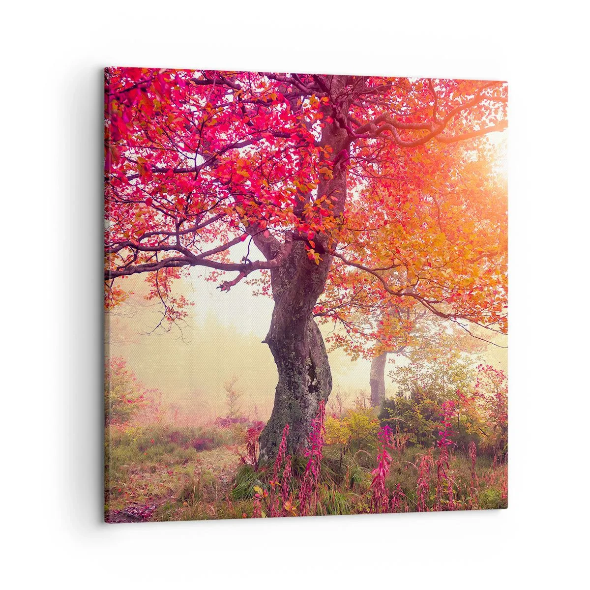 Schilderen op canvas - Bloeiende razernij - 50x50 cm