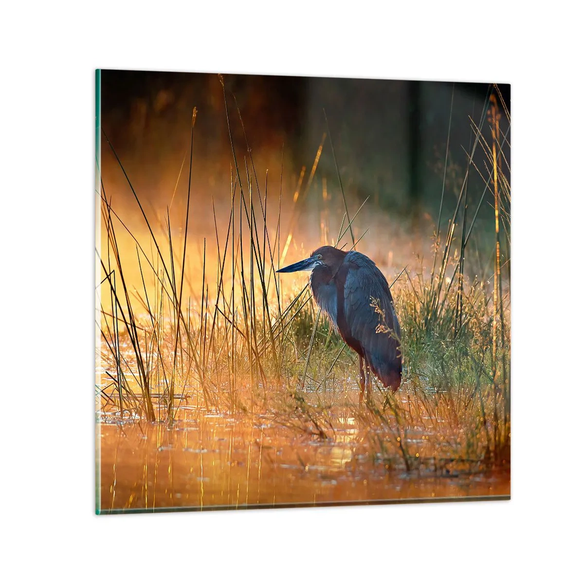 Schilderen op glas - Kom op, geef me een pauze met deze foto's - 50x50 cm