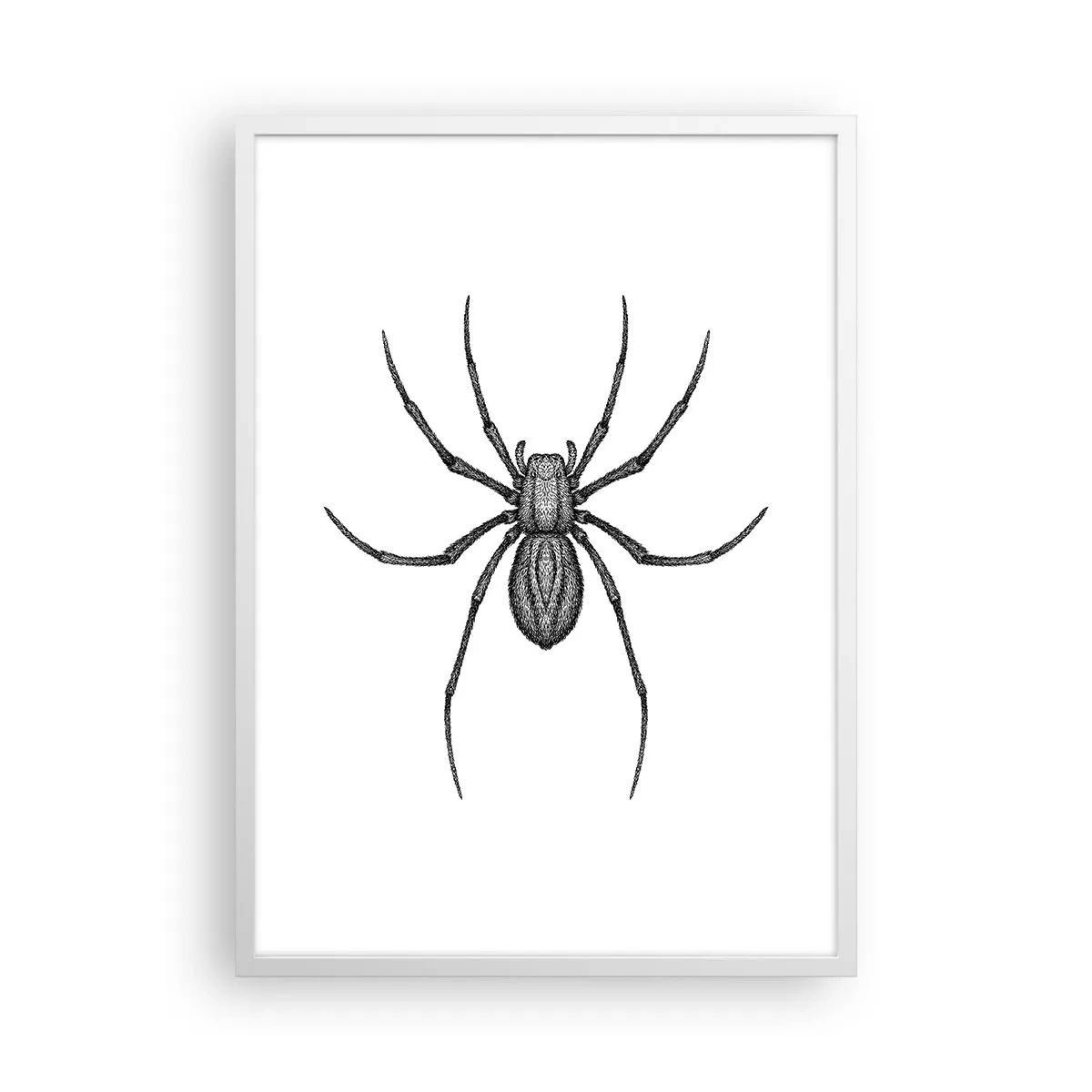 Poster in een witte lijst - Verontrustende precisie - 50x70 cm