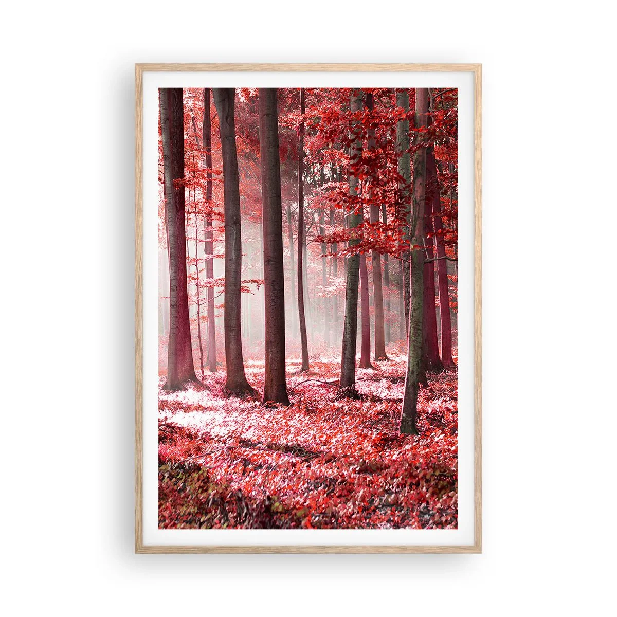 Een poster in een licht eiken lijst - Rood is net zo mooi - 70x100 cm